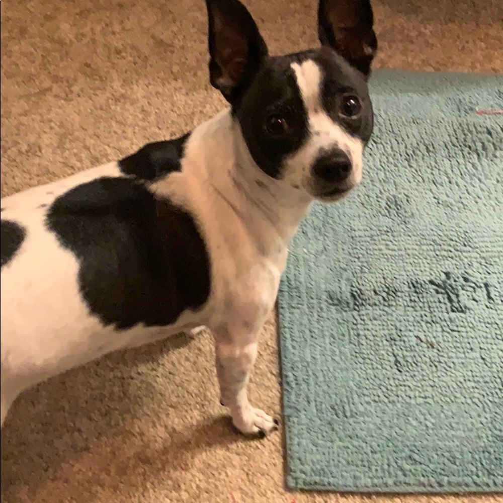 Meet your Posher, Lorraine